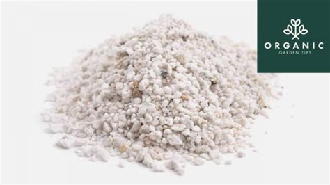 This is really extremely odd since on paper, vermiculite seems to be perfect to use with coco, it could i have never ever anyone seen making a mix of coco coir with vermiculite. Perlite and Vermiculite: Mix Ratio & Soil Enhancements ...