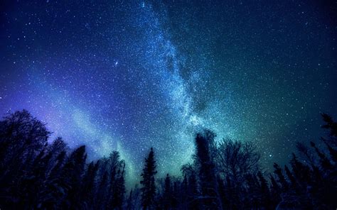 Wallpaper Trees Night Galaxy Nature Sky Stars Milky Way