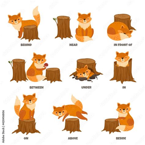English Prepositions Cartoon Animal Learn Place Preposition Cute