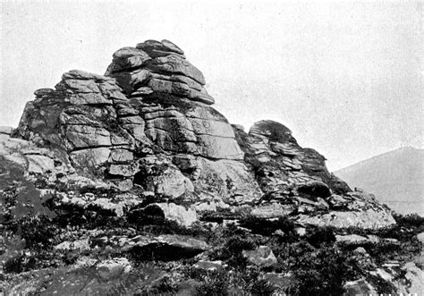 In The Company Of Plants And Rocks Geological Pilgrimage The Tors Of