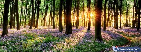Spring Forest Sunset Seasonal Facebook Cover