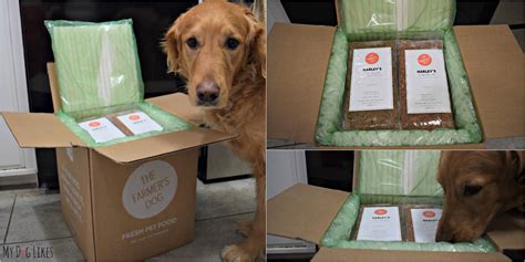 Formulated by nutritionists,praised by vets. "The Farmer's Dog" Review - Custom Food Delivered Straight ...