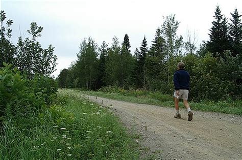 There Are Tons Of Active Options On Maines 28 Mile Aroostook Valley Trail