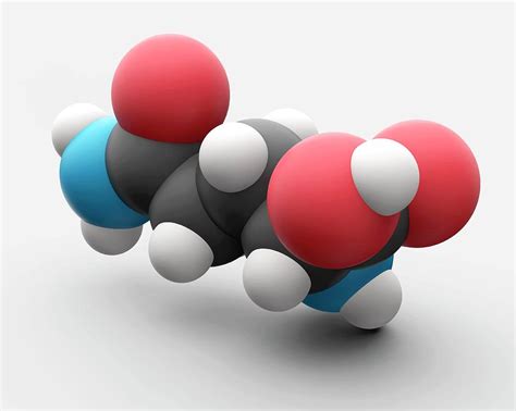 Glutamine Amino Acid Molecule Photograph by Carlos Clarivan/science ...