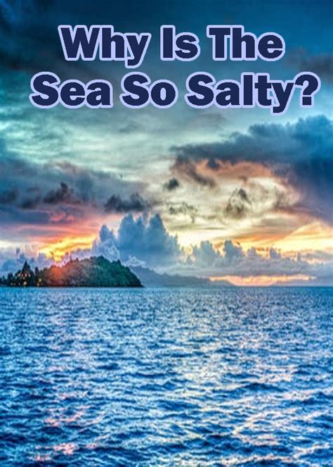 Why Is The Sea So Salty English Children Story Samrud R