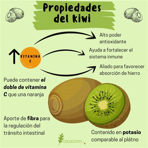 Propiedades Del Kiwi Una Fruta Llena De Vitaminas Ecologizate
