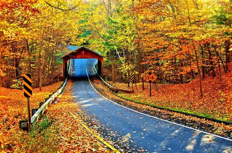 Covered Bridge On Autumn Road 4k Ultra Hd Wallpaper