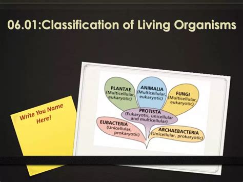 Ppt 0601classification Of Living Organisms Powerpoint Presentation