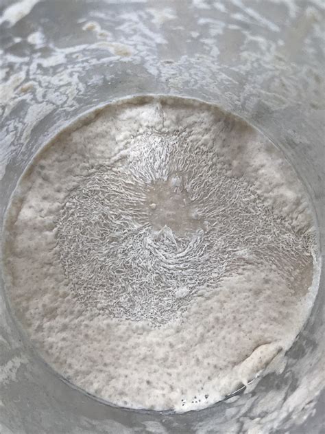That said, a starter will still deteriorate if it passes 39c (102f). Has my sourdough starter gone bad? : Sourdough