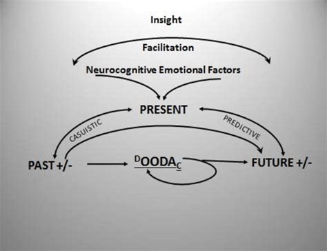 Schematic Representation Of Neuro Cognitive Processes In Decision