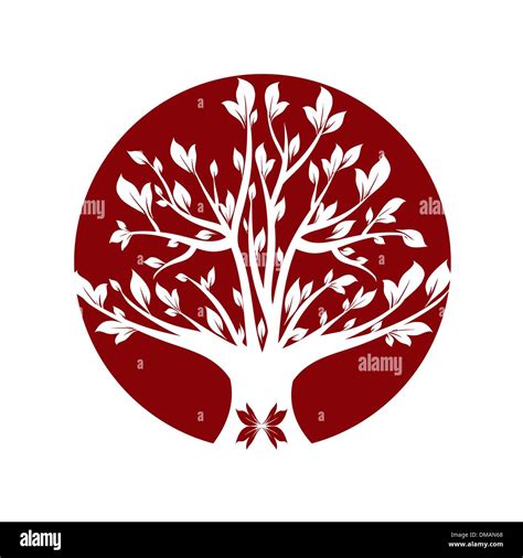Red Bark Tree Stock Vector Images Alamy