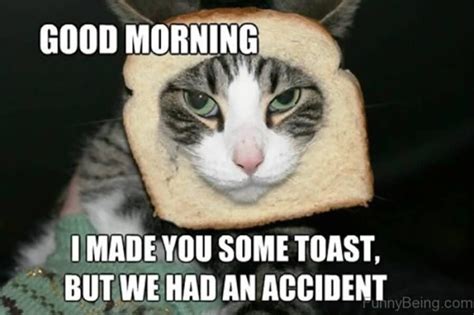 Does your yesterday is good or bad? Funny-Good-Morning-Meme-25 - Inspirationfeed