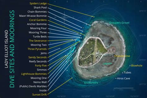 The Dive Sites Of Lady Elliot Island Oceanity