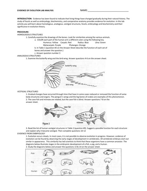 Types Of Evolution Worksheet Cohomemade
