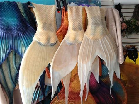Also official distributor os bobbiny, beadsmith, xuron, beadalon wires. 8856c4f4223b2f80480dc28c3a865b8b.jpg 750×562 ピクセル | Silicone mermaid tails, Realistic mermaid ...