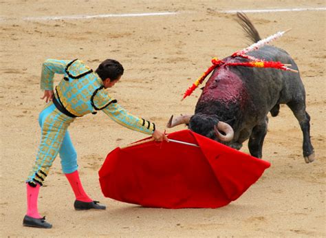 The Romance And Reality Of Bullfighting Saving Earth Encyclopedia