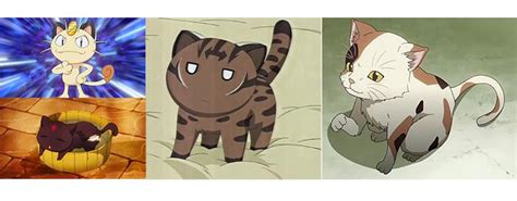 Top 10 Anime Cat Characters That You Need Know