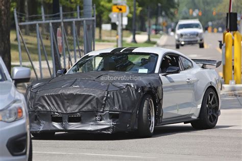 All mustang shelby gt350, shelby gt350r and shelby gt500 prices exclude gas guzzler tax. 2018 Shelby GT350 Confirmed, 2019 Shelby GT500 Incoming ...