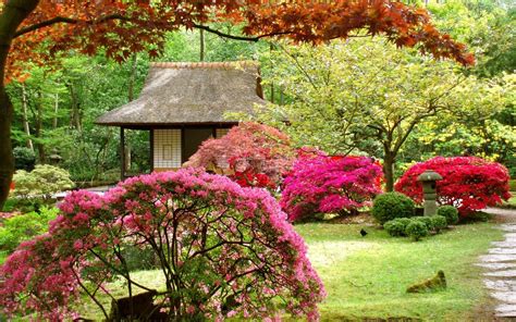Japanese Flower Garden Wallpapers Top Free Japanese Flower Garden