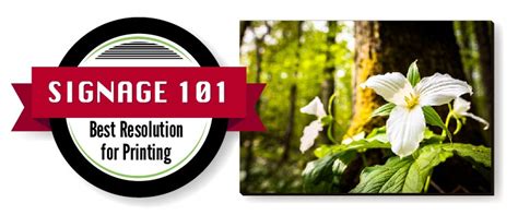 The Best Resolution For Printing Photos Banners Signs And More