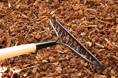 You'll be better off using organic mulches because it adds to your soil composition. Free Mulch Is Great Mulch | AustinTexas.gov
