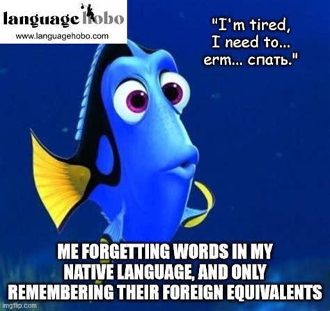 8 Memes That Language Learners Everywhere Can Relate To Language Hobo