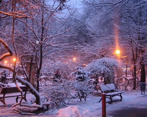 Ice Nature Winter Season Snow Trees Night Lights Cold Purple Frozen Bench Parks 1280x1024 Wallp