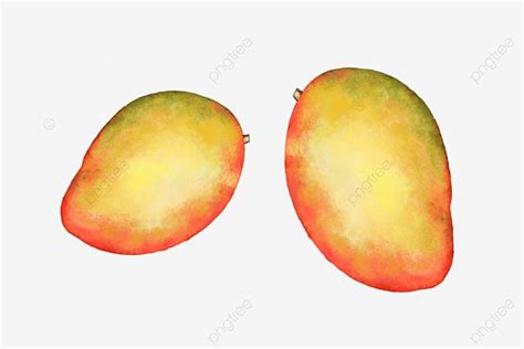 فاكهة المانجو رسمت عنصر المواد رسم المانجو مانجو مرسومة باليد صغيرة