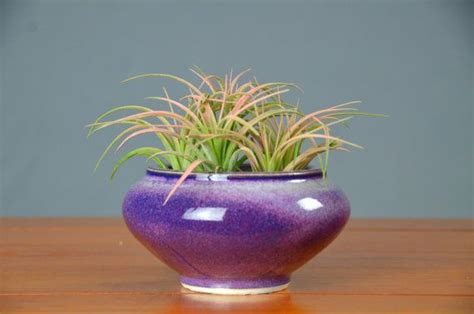 Purple Succulent Planter Ceramic Porcelain Pottery Herb Etsy