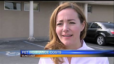 For many pet parents, costs could be a major deciding factor for whether or not to buy pet insurance. Pet Insurance Costs - YouTube