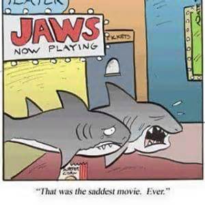 Pin By Hunter Schoumacher On Jaws Shark Jokes Sharks Funny Cute Shark