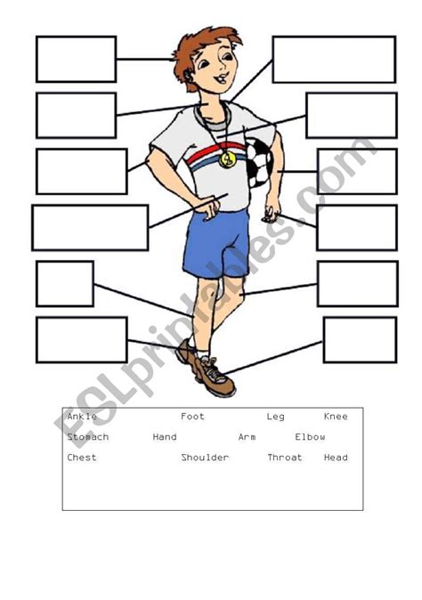 Ks1 Human Body Parts Labeling Activity Teaching Resources Pin On