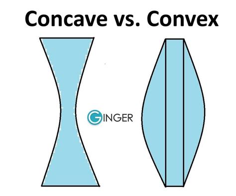 After that, we will get an idea about the types of mirrors, and different types of images formed by these lenses. Concave vs. Convex - What is the Difference? Ginger Software