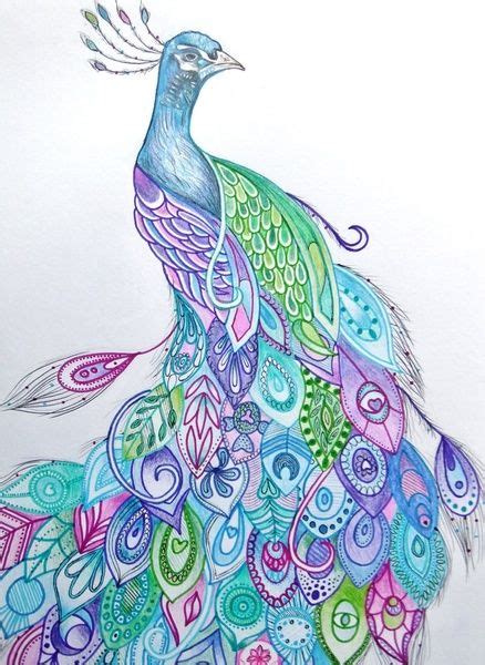 Beautiful Peacock Sketch At Paintingvalley Explore Collection Of