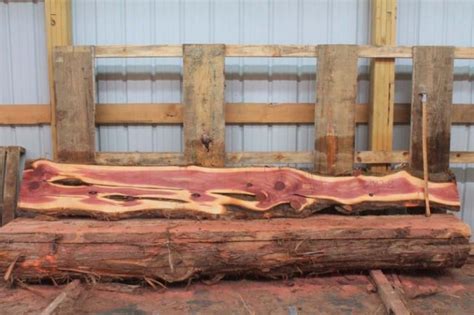 Aromatic Red Cedar Slabs Wood Vendors