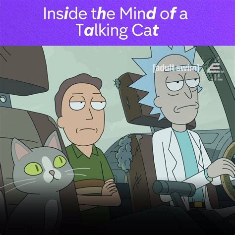 E4 Rick And Morty Inside The Mind Of A Talking Cat Facebook