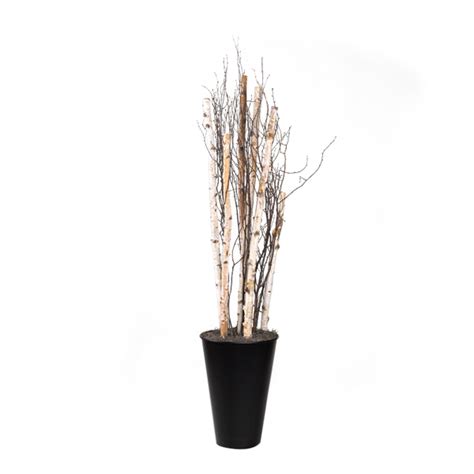 Birch Poles And Birch Tree Tops In Tall Round Metal Planter 317402