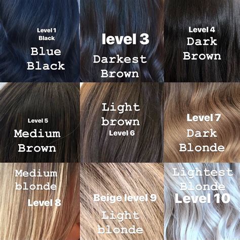 Different Shades Of Brown Hair Color Chart