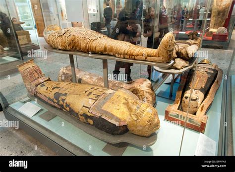 Egyptian Mummies In The British Museum London England Uk Stock Photo