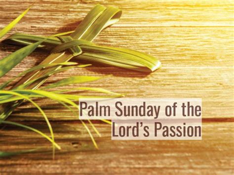 Sunday Reflection Palm Sunday Of The Lords Passion Missionaries Of