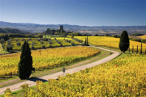 Tuscany Brunello Wine Road Italy Digital Art By Massimo Ripani Fine
