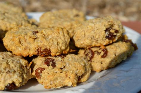These are a low calorie nutritious snack. 22 Best Low Fat Low Sugar Oatmeal Cookies - Best Round Up Recipe Collections