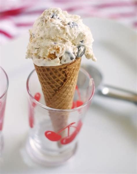 90 Ice Cream Gelato And Sorbet Recipes Desserts Frozen Desserts