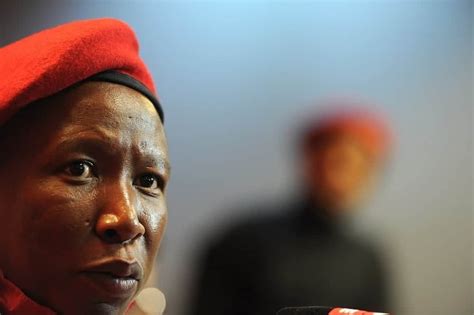 Julius Malema Biography Latest News And Facts About The Eff Leader