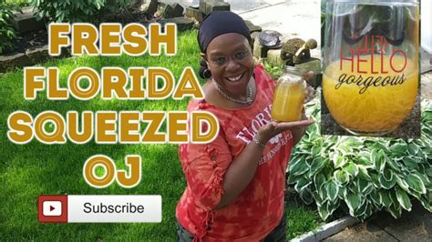 🍊fresh Squeezed Florida Orange Juice🍊 Youtube
