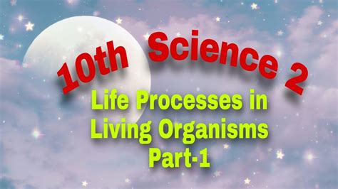 10th Sci2 Ch2 Life Processes In Living Organisms Part 1 Youtube