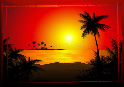 Tropical Beach Sunset Stock Vector Image Of Hawaii Dusk 3549488