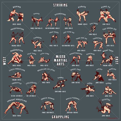 Chicagoan Creates Illustrated Guide To Martial Arts Styles Chicagos Mma