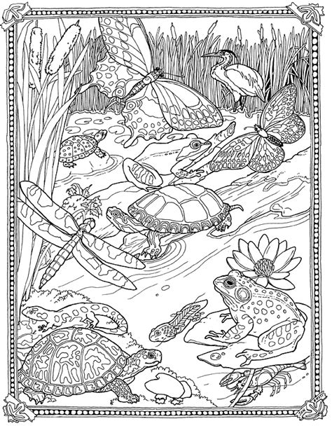 See more ideas about coloring pages, frog coloring pages, coloring books. Lilypad Pond