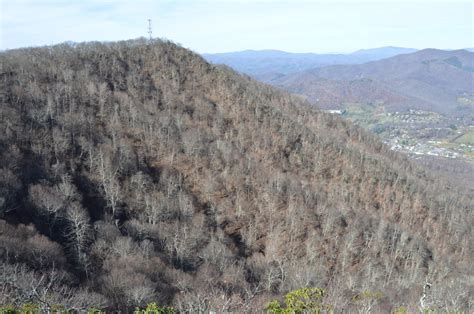 Mount Jefferson State Park A North Carolina State Park Located Near Boone